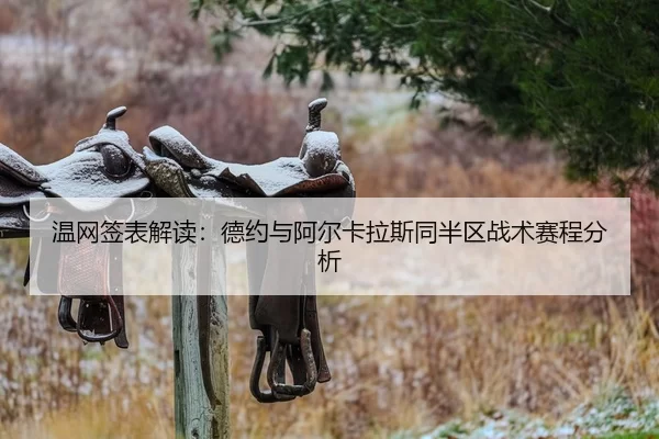 温网签表解读：德约与阿尔卡拉斯同半区战术赛程分析